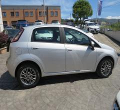 Auto - Fiat punto evo 1.3 mjt 75 cv 5p. dynamic