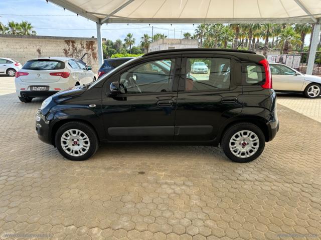 Auto - Fiat panda 1.2 lounge