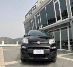 Auto - Fiat panda 1.0 firefly s&s hybrid easy