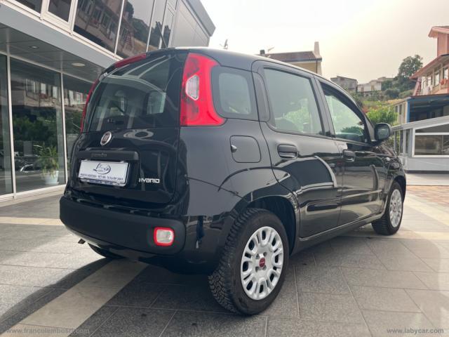 Auto - Fiat panda 1.0 firefly s&s hybrid easy