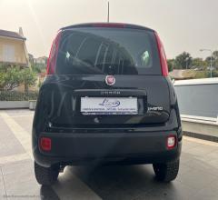 Auto - Fiat panda 1.0 firefly s&s hybrid easy