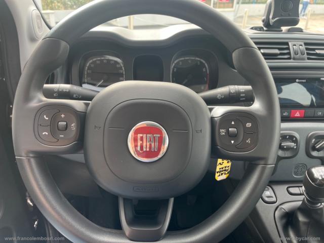 Auto - Fiat panda 1.0 firefly s&s hybrid easy