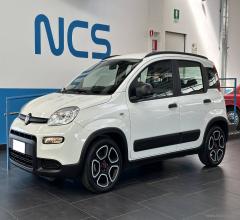 Auto - Fiat panda 1.0 firefly s&s hybrid city life