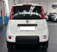 Auto - Fiat panda 1.0 firefly s&s hybrid city life