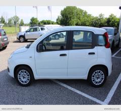 Auto - Fiat panda 1.2 easy