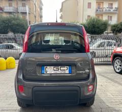 Auto - Fiat panda 1.0 firefly s&s hybrid city life