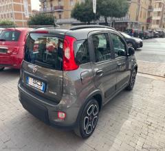 Auto - Fiat panda 1.0 firefly s&s hybrid city life