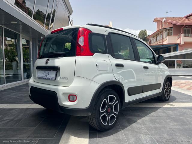 Auto - Fiat panda 1.0 firefly s&s hybrid city life