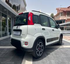 Auto - Fiat panda 1.0 firefly s&s hybrid city life