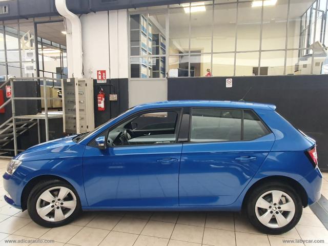 Auto - Skoda fabia 1.4 tdi 90 cv