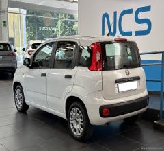 Auto - Fiat panda 1.2 easy