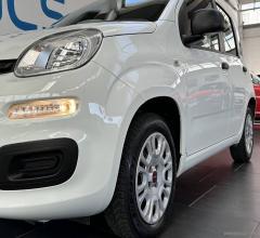 Auto - Fiat panda 1.2 easy