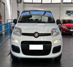 Auto - Fiat panda 1.2 easy