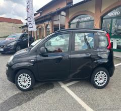 Auto - Fiat panda 1.3 mjt s&s lounge