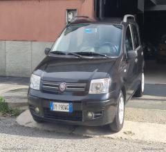 Auto - Fiat panda 1.2 dynamic gpl