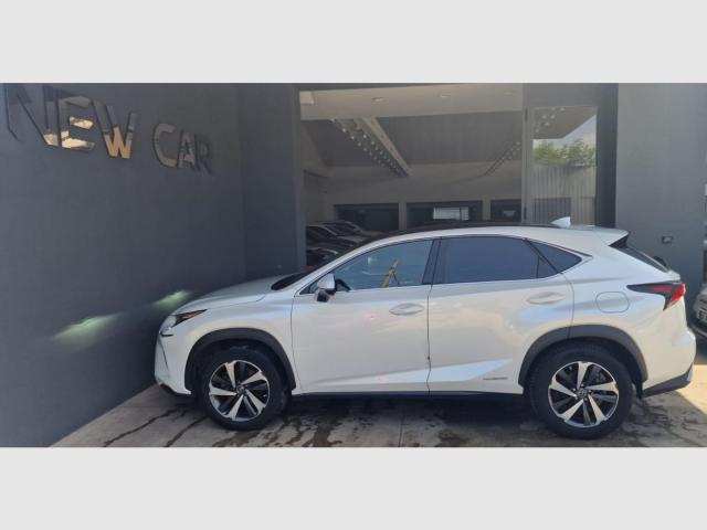 Auto - Lexus nx hybrid business