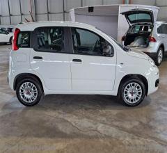 Auto - Fiat panda 1.2 easy