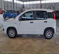 Auto - Fiat panda 1.2 easy