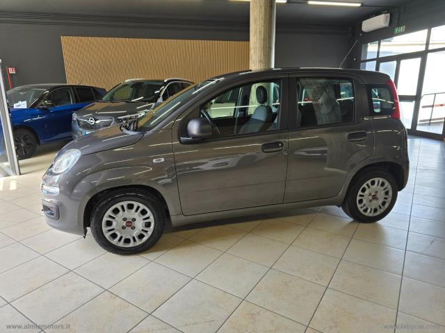 Auto - Fiat panda 1.0 firefly s&s hybrid