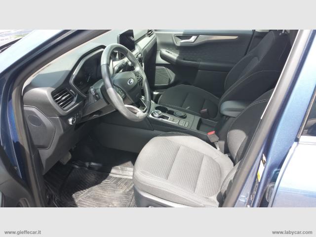 Auto - Ford kuga 1.5 ecoblue 120 aut. 2wd my2020 titanium