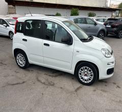 Auto - Fiat panda 1.0 firefly s&s hybrid