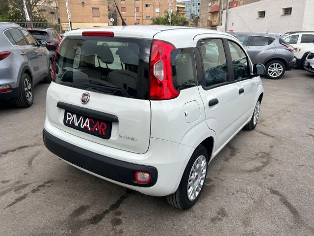 Auto - Fiat panda 1.0 firefly s&s hybrid