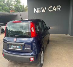 Auto - Fiat panda 1.0 firefly s&s hybrid