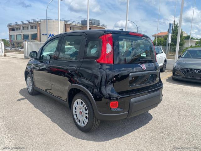 Auto - Fiat panda 1.0 firefly s&s hybrid