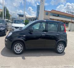 Auto - Fiat panda 1.0 firefly s&s hybrid