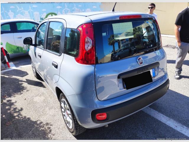 Auto - Fiat panda 1.0 firefly s&s hybrid