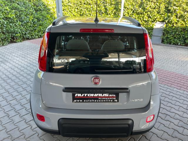 Auto - Fiat panda 1.0 firefly s&s hybrid city life