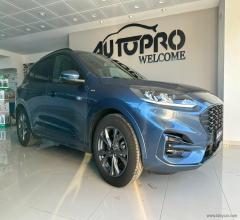 Auto - Ford kuga 1.5 ecoblue 120 cv 2wd st-line