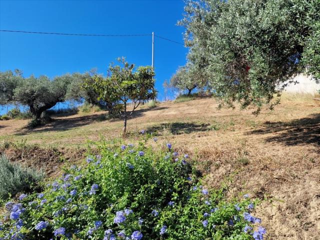 Appartamenti in Vendita - Terreno edificabile in vendita a silvi colle stella