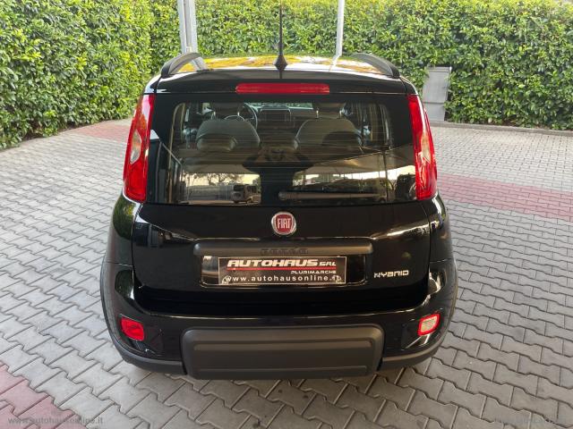 Auto - Fiat panda 1.0 firefly s&s hybrid city life