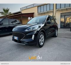 Auto - Ford kuga 1.5 ecoblue 120 cv aut. 2wd tit.bus