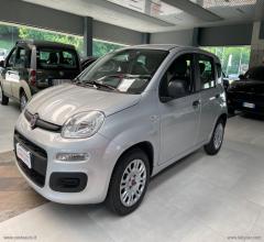 Auto - Fiat panda 1.2 easypower easy