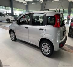 Auto - Fiat panda 1.2 easypower easy