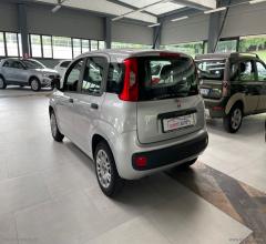 Auto - Fiat panda 1.2 easypower easy