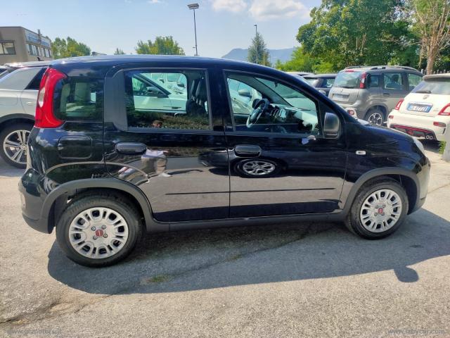 Auto - Fiat panda 1.0 firefly s&s hybrid