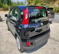 Auto - Fiat panda 1.0 firefly s&s hybrid