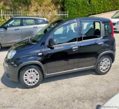 Auto - Fiat panda 1.0 firefly s&s hybrid