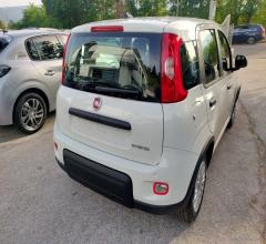 Auto - Fiat panda 1.0 firefly s&s hybrid