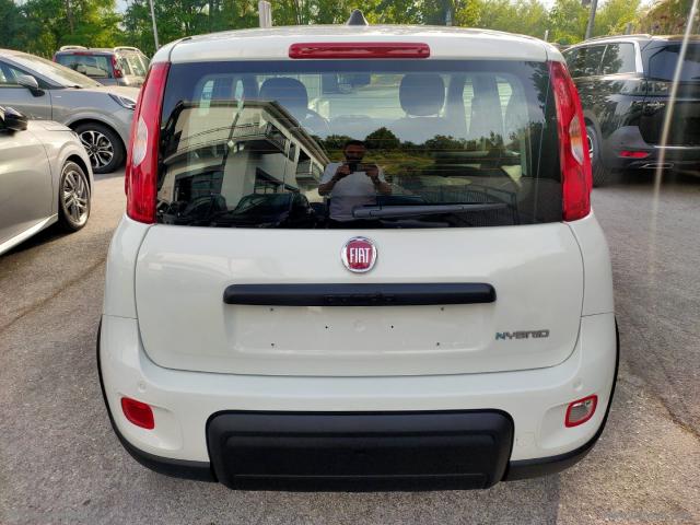 Auto - Fiat panda 1.0 firefly s&s hybrid