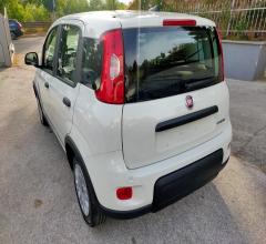 Auto - Fiat panda 1.0 firefly s&s hybrid