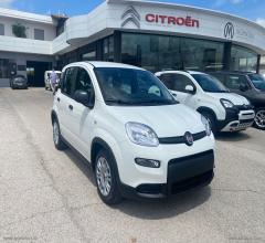 Auto - Fiat panda 1.0 firefly s&s hybrid