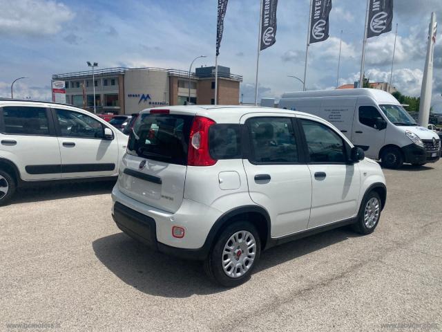 Auto - Fiat panda 1.0 firefly s&s hybrid