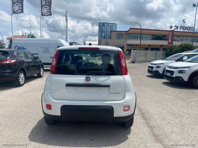 Auto - Fiat panda 1.0 firefly s&s hybrid