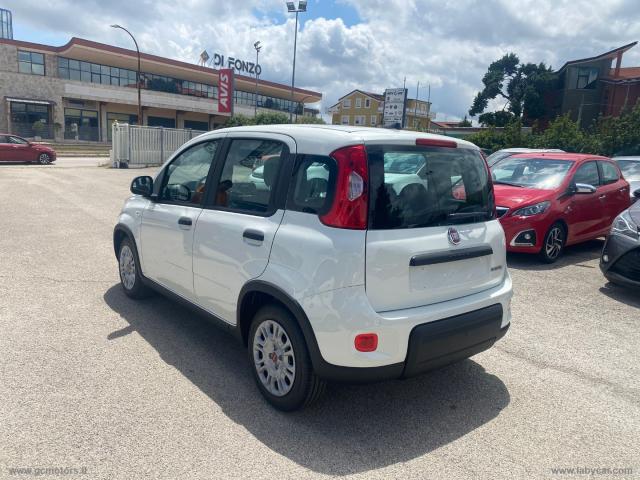 Auto - Fiat panda 1.0 firefly s&s hybrid