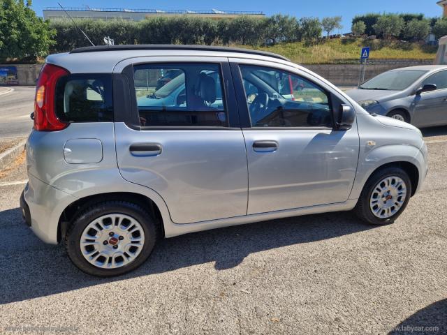 Auto - Fiat panda 1.2 easypower easy