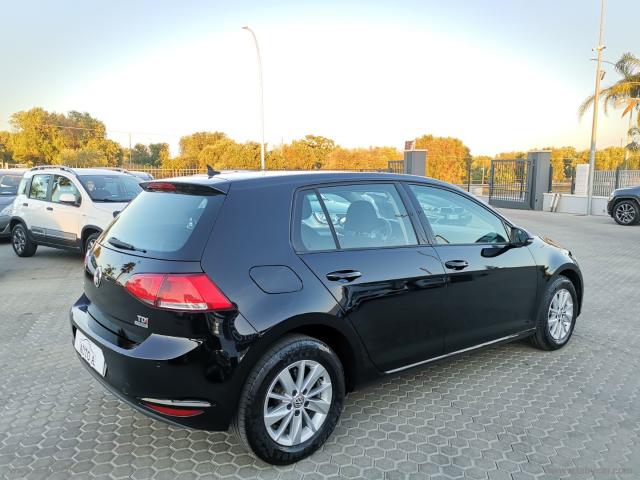 Auto - Volkswagen golf 1.6 tdi 5p. highline bmt